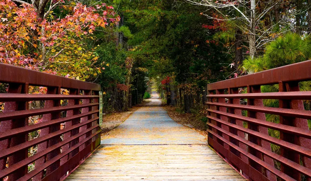 Walk longer for your life—and for feeling better while you live it