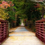 Walk longer for your life—and for feeling better while you live it