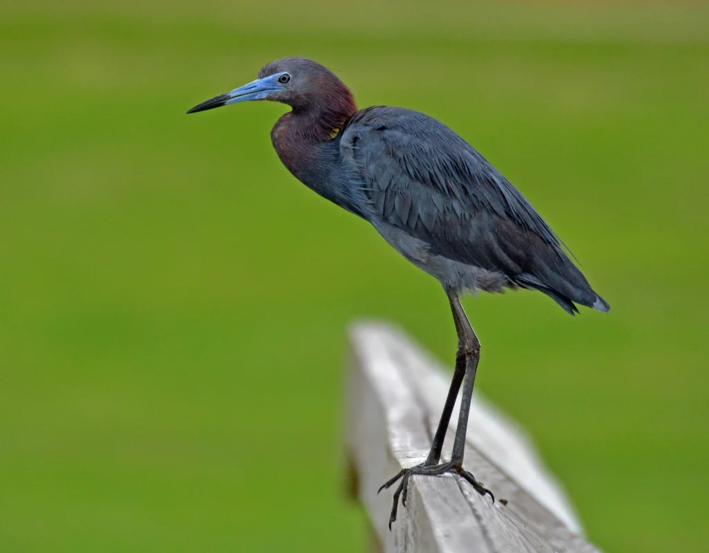 Aware. Every. Breath. How mindfulness supports a good workout